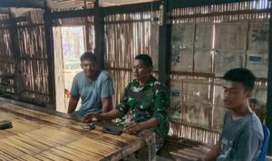 Babinsa Tellu Limpoe Komsos Di Bawah kolong Rumah Warga