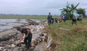 Harmoni Pulih: Kolaborasi Pemulihan Saluran Irigasi Pasca Banjir