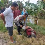 Tragedi Di Persawahan: Petani Telungkup, Masyarakat Terhenyak