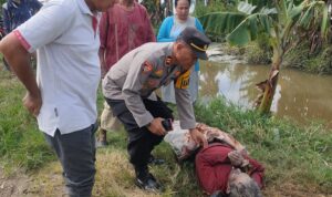 Tragedi Di Persawahan: Petani Telungkup, Masyarakat Terhenyak