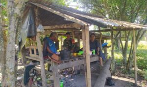 Deteksi Dini Di Tengah Kebun: Misi Komsos Babinsa Di Kel. Lajonga