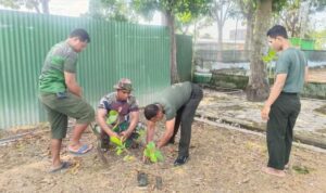 Hijaukan Asrama: Kodim 1420/Sidrap Tanam 200 Pohon