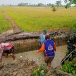 Gotong Royong Desa: Menyuburkan Ladang, Mempererat Tali Silaturahmi