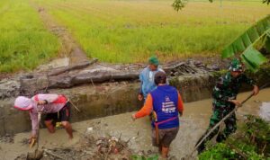 Gotong Royong Desa: Menyuburkan Ladang, Mempererat Tali Silaturahmi