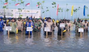 Peran Aktif Kakorpolairud Baharkam Polri Dalam Baksos Penanaman 2000 Pohon Mangrove Di Pantai Takalar