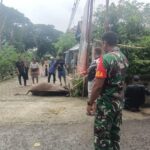 Serda Asri Awasi Kurban Idul Adha Di Desa Sereang
