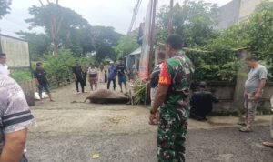 Serda Asri Awasi Kurban Idul Adha Di Desa Sereang