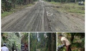 Tambang Bakri Hancurkan Harapan Pendidikan: Jalan Rusak, Murid Terluka