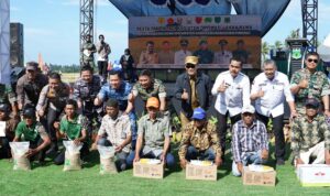 Panen Perdana Di Pinrang: Sinergi TNI Dan Pemda Untuk Ketahanan Pangan