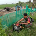 Pompa Air Kementan: Panen Petani Makin Jos!