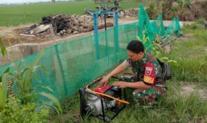 Pompa Air Kementan: Panen Petani Makin Jos!
