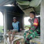 Swasembada Pangan: Babinsa Turun Tangan