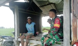 Swasembada Pangan: Babinsa Turun Tangan