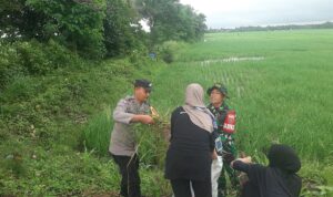 Sinergi Bersih TNI-Polri