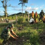 Karya Bakti Koramil 1420-05: Menyemai Harapan Lewat 100 Pohon