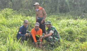 Penghijauan di Pitu Riase: Koramil & PT Buli Beraksi