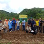 Bekerja Sama Dengan LPPM, Disbun Aceh Tengah Tanam 1 H Lahan Penelitian Tembakau Di Pegasing