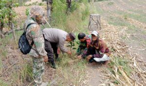 Babinsa Koptu Herman Ajak Warga Hijaukan Desa Teppo