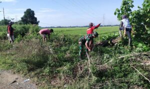 Aksi Babinsa dan Mahasiswa untuk Hanpangan