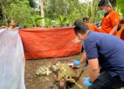 Suami Bakar Istri di Aceh Tamiang Serahkan Diri ke Polisi, Korban Meninggal Dunia