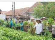 Kapolres Cirebon Kota Hadiri Kegiatan Panen Kangkung dan Cabe di KPLH Warnasari Berseri.