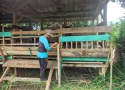 Dukung Program Pemerintah, Satgas Madago Raya Perkuat Ketahanan Pangan di Wilayah Operasi