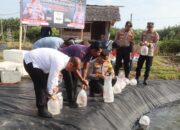 Kapolres Pidie Jaya Dorong Ketahanan Pangan: Tabur 350.000 Benur Udang Vaname di Meureudu
