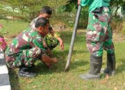 Hijaukan Makodim, Serma Adhi: Setiap Pohon, Sejuta Harapan