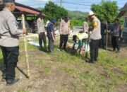 Tanam Jagung di Lahan Polsek: Jejak Semangat Swasembada Pangan