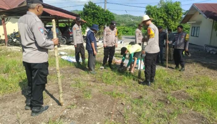 Tanam Jagung di Lahan Polsek: Jejak Semangat Swasembada Pangan