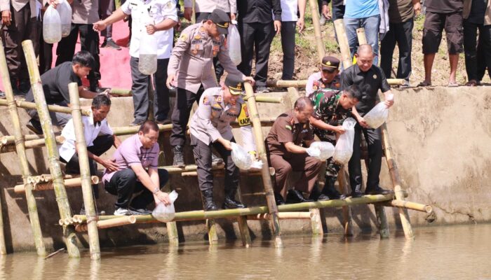 Benih Harapan di Cekdam Poka