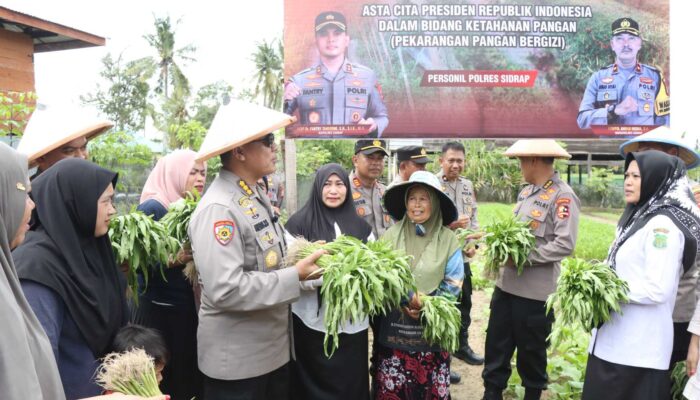 Kapolres Sidrap, Tunjukkan Jalan Ketahanan Pangan