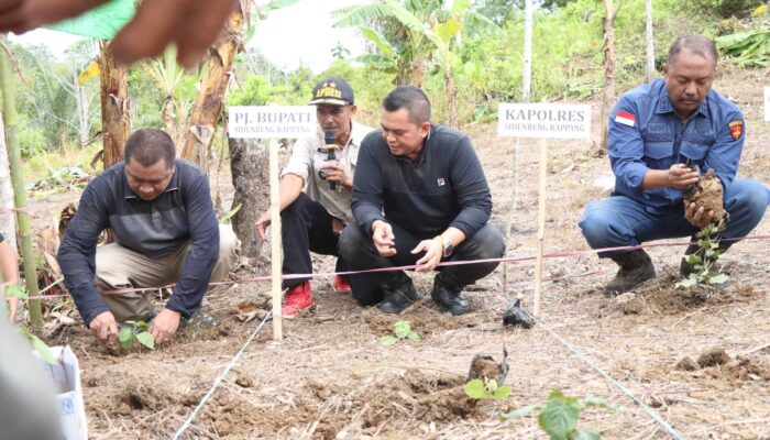 Kolaborasi Hebat! Polisi, Bupati, Jaksa Bertani