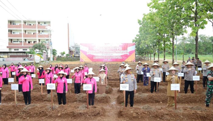Pekarangan Pangan Lestari Resmi Dilaunching di Sulsel