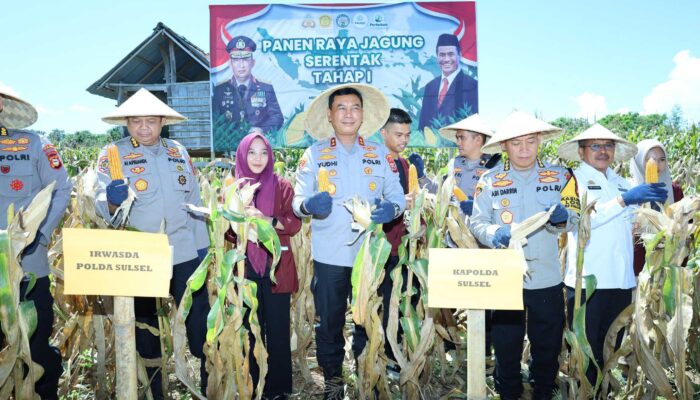Panen Raya di Bulukumba: Kapolda Sulsel Turun Langsung ke Ladang Jagung