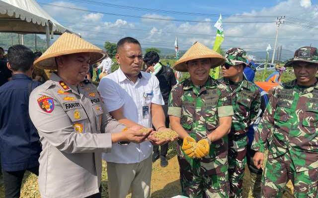 Dandim 1420/Sidrap Turun Sawah, Bukti TNI Kawal Swasembada Pangan