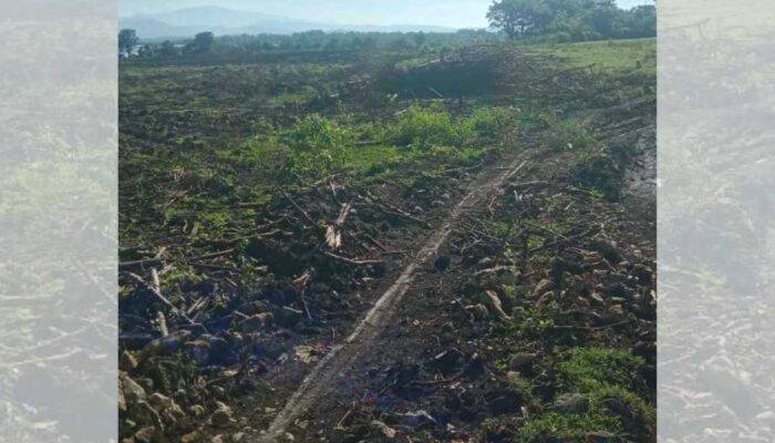 Lahan Warga Dirusak, PT Kita Bungkam – Di Mana Peran Pemerintah?