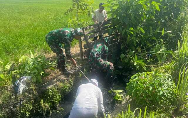 Babinsa Koramil Dua Pitue Turun Sawah: Bersihkan Irigasi, Jaga Asa Petani Sidrap