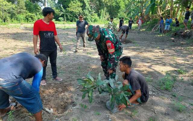 Hijaukan Kembali Benteng, Babinsa Baranti Tanam Pohon Buah Bareng Warga