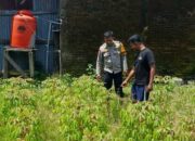 Bhabinkamtibmas Sidak Pekarangan Warga, Dorong Kemandirian Pangan dari Desa