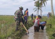 Irigasi Bersih: Satu Potret Babinsa Jadi Motor Utama
