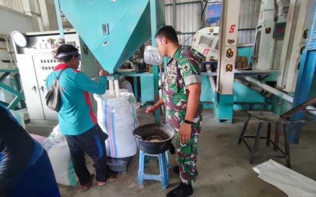 Babinsa ‘Masuk Pabrik’, Harga Gabah di Mojong Dijaga Sesuai HPP