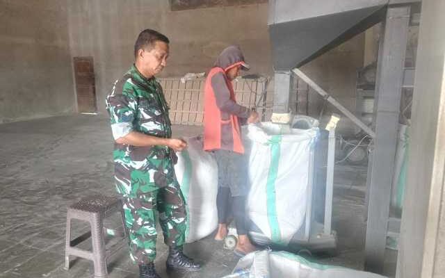Babinsa Sidrap Masuk Pabrik, Harga Gabah Disorot Tajam!