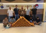 47 Kg Ganja Gagal Edar di Sumbar, 4 Orang Diciduk!