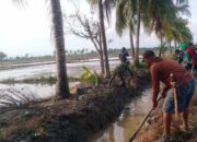 Bahu-Membahu! TNI dan Petani Sidrap Bersihkan Irigasi Jelang Musim Tanam