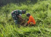 Babinsa Hijaukan Sidrap: Aksi Serma Afsalul Guncang Pitu Riase