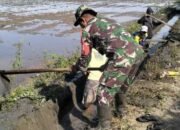 Serka Usman Sulfiki Pacu Produktivitas Sawah Warga