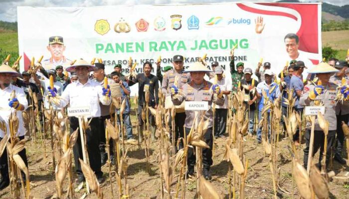 Kapolri Listyo Sigit Bareng Mentan Panen Jagung di Bone