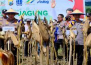 Lihat Aksi Irjen Pol Rusdi Hartono di Tengah Ladang!