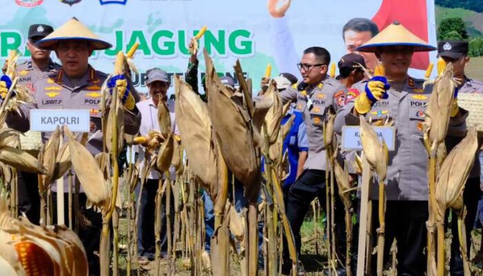 Lihat Aksi Irjen Pol Rusdi Hartono di Tengah Ladang!